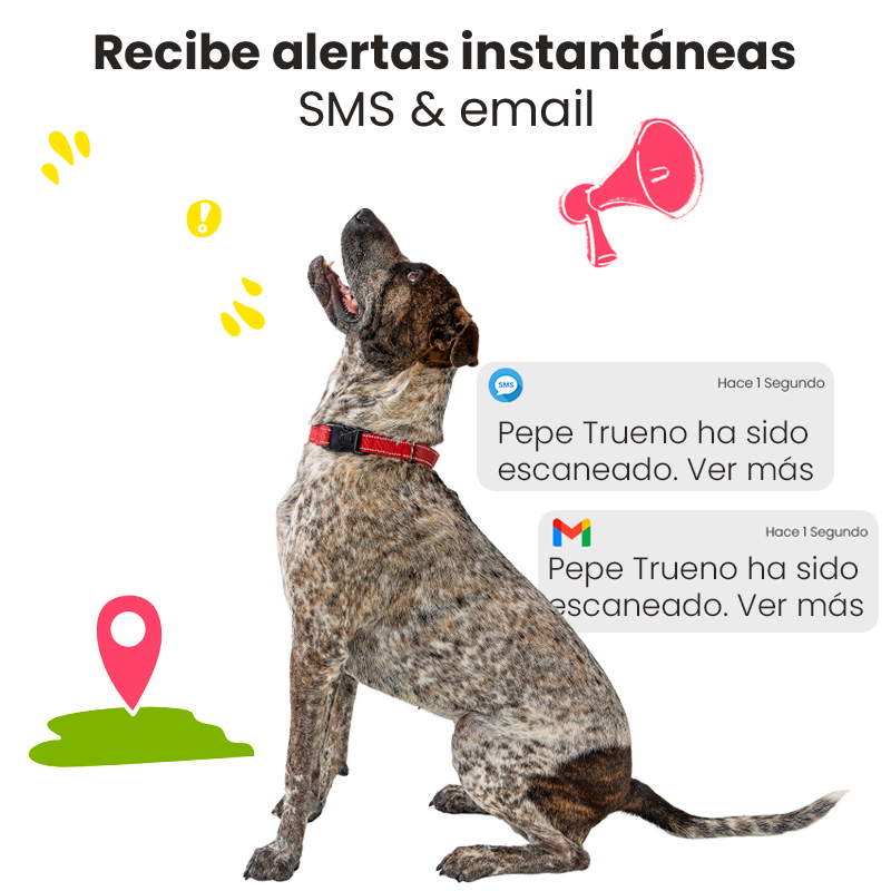 Imagen HuellaScan