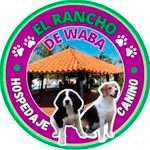 El Rancho de Waba